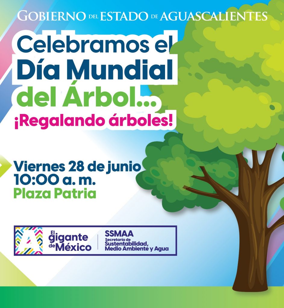 Celebramos el Día Mundial del Árbol… ¡Regalando árboles!