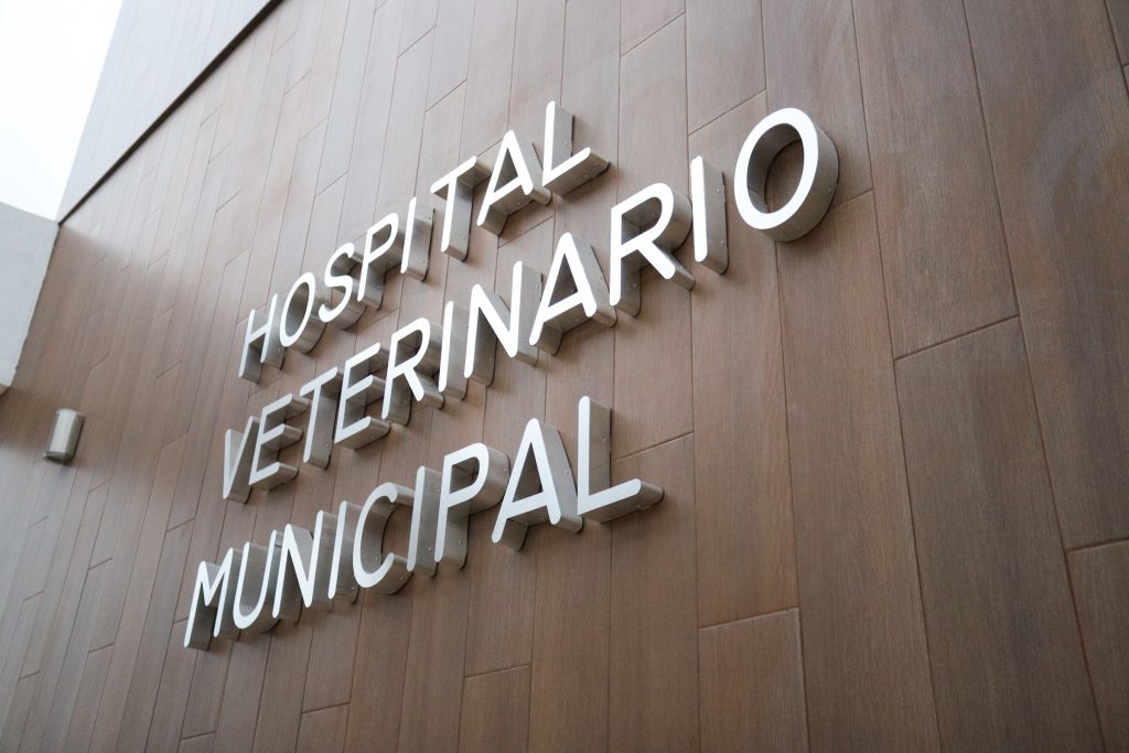 SE ACERCA LA APERTURA DEL HOSPITAL VETERINARIO MUNICIPAL
