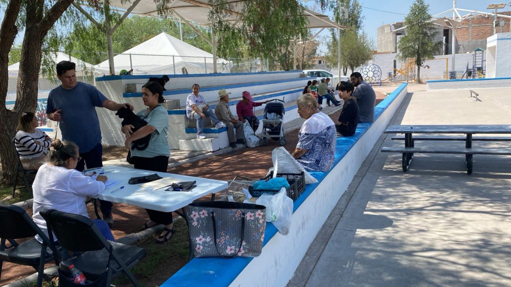 MÁS DE 300 ESTERILIZACIONES CANINAS Y FELINAS SE HAN REALIZADO ESTE AÑO EN JESÚS MARÍA