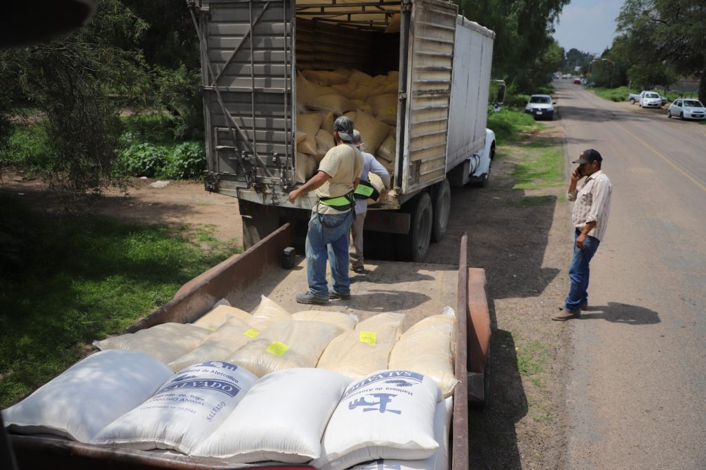 PRODUCTORES DEL MUNICIPIO DE JESÚS MARÍA RECIBIERON ALIMENTO PARA EL GANADO BOVINO Y OVINO