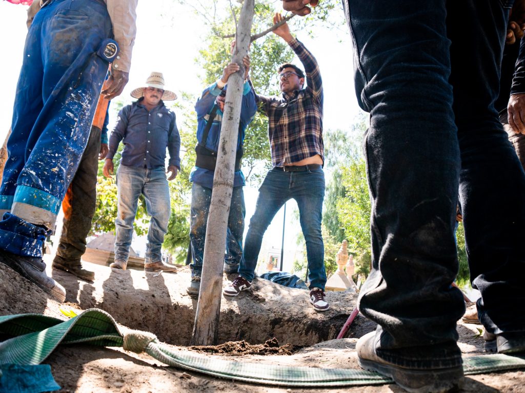 CONTINÚA LA REFORESTACIÓN EN EL PRIMER CUADRO DE JESÚS MARÍA