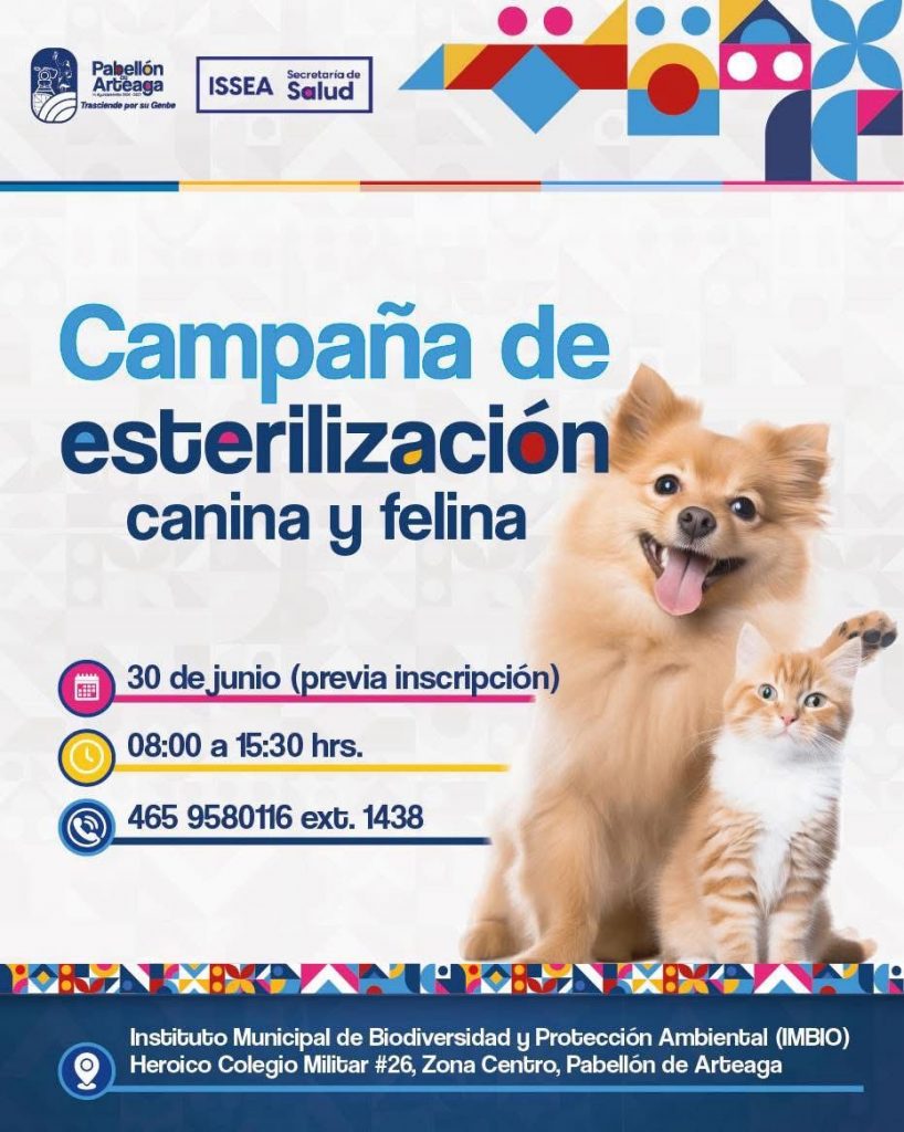 🐾 ¡Atención dueñas y dueños responsables! 🐶🐱