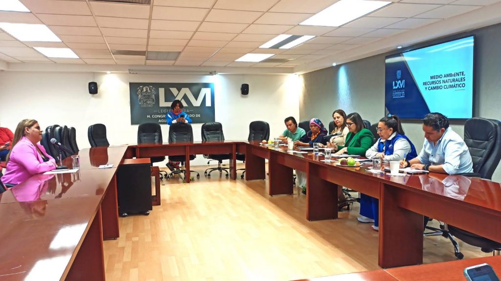 COMPARECEN ANTE LA COMISIÓN DE MEDIO AMBIENTE DEL CONGRESO DE AGUASCALIENTES LA TERNA DE ASPIRANTES A LA PROESPA