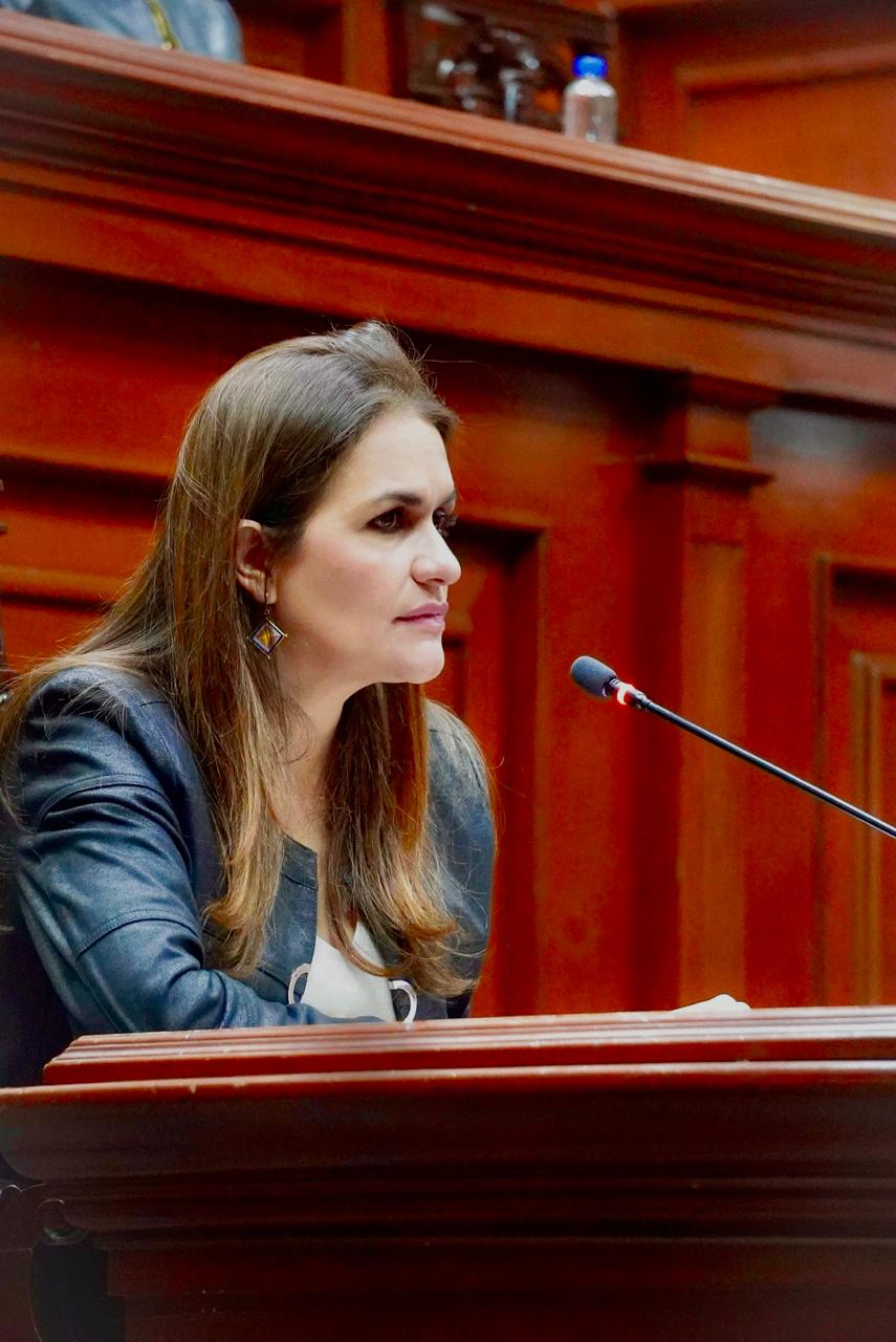 EL BULLYING PODRÍA TENER CONSECUENCIAS LEGALES: ALMA HILDA MEDINA MACÍAS