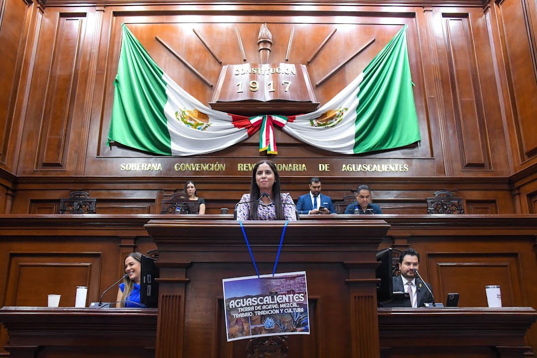 CONGRESO DE AGUASCALIENTES APROBÓ REFORMAS EN MATERIA DE MEZCAL, AUSTERIDAD, MOVILIDAD, MEDIO AMBIENTE, DESARROLLO SOCIAL Y URBANO